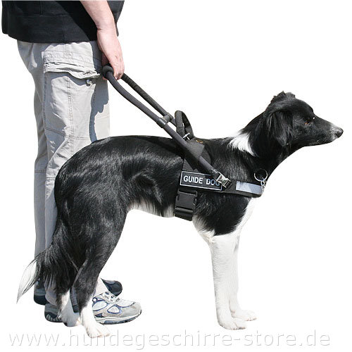 Blindenhundegeschirr Nylon