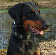Halsband mit Steinen verziert für Dobermann Halsband mit Steinen verziert für Dobermann