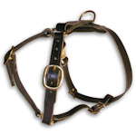 Hand-gefertigtes-Hundegeschirr-H7