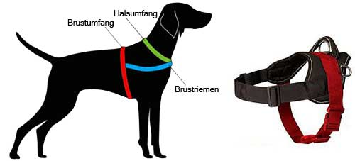 Hundegeschirr Nylon messen