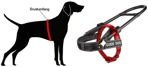 Hundegeschirr Leder messen