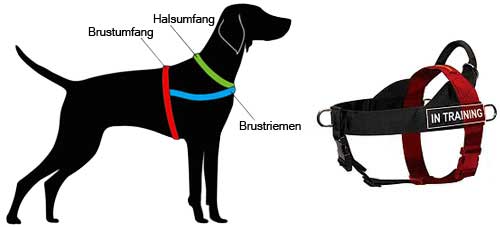 Hundegeschirr Nylon messen