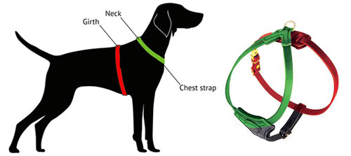 Hundegeschirr Leder messen