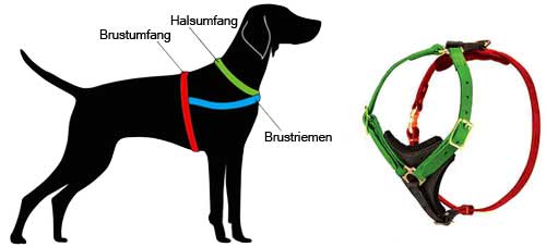 Hundegeschirr Leder messen