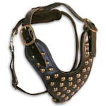 Hundegeschirr-Leder-Nieten-H15