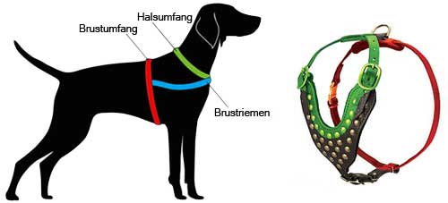 Hundegeschirr Leder messen