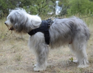 Hundegeschirr Nylon für Südrussichen Schäferhund K9