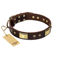 Leder Halsband mit exklusivem Design, FDT Artisan Leder Halsband mit exklusivem Design, FDT Artisan