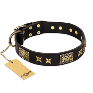 Leder Halsband mit exklusiven Beschlägen Leder Halsband mit exklusiven Beschlägen