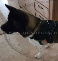 Allwetter Brustgeschirr K9 für Akita Inu Allwetter Brustgeschirr K9 für Akita Inu