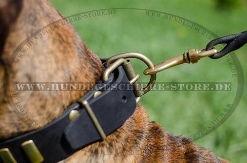 Prachtvolles Hunde Lederhalsband mit Platten fuer Boxer
