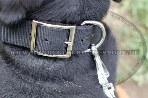 Nylon Hundehalsband für Schweizer Sennenhund