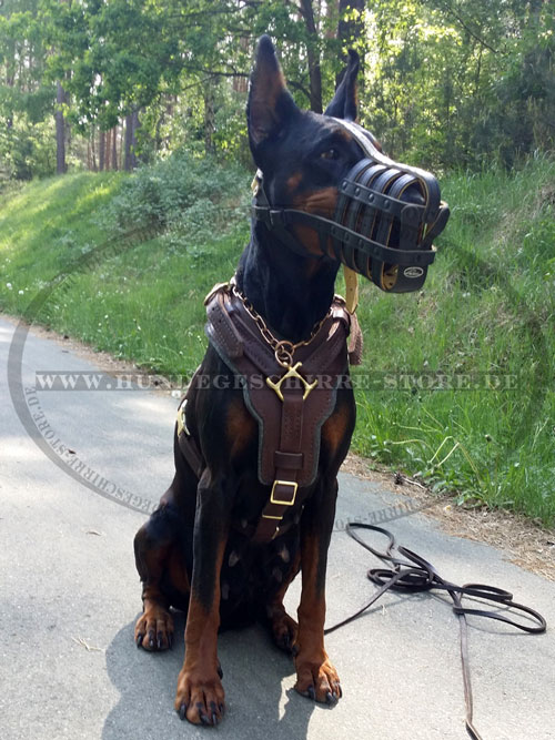 Dobermann Schutzhund Hundegeschirr kaufen