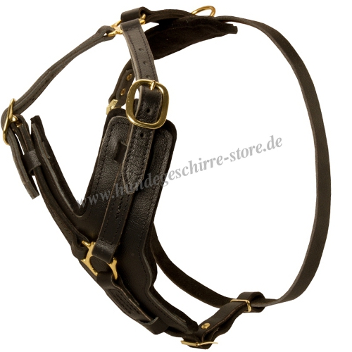 chest harness leather Padded American Pit Bull