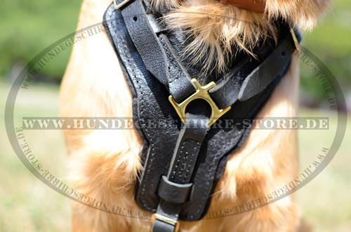Hundegeschirr aus Leder für angenehme Ausläufe
