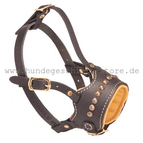 original leather muzzle in a stylish design