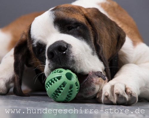Spielball mit Duft für Hunde