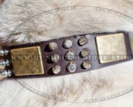 Hundehalsband Exklusiv für West-Sibirische Laika 2015 Hundehalsband Exklusiv für West-Sibirische Laika 2015