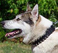 Luxus Hundehalsband Leder mit 2-reihigen Spikes ❈ Laika Luxus Hundehalsband Leder mit 2-reihigen Spikes ❈ Laika