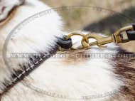 Erziehungshalsband aus Leder für Westsibirische Laika Erziehungshalsband aus Leder für Westsibirische Laika