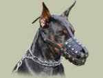 Dobermann Hundemaulkorb aus Leder mit Luftzirkulation