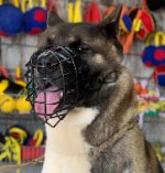 Schwarzer Drahtmaulkorb mit Filz-Polsterung für American Akita_0