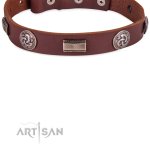 Stabiles Halsband aus Rindleder mit großen Nieten_3