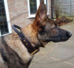 K9 Halsband für Gehorsamtraining mit Schäferhund_0