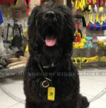 Riesenschnauzer Erziehungshalsband aus rundem Leder_0