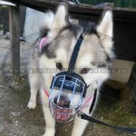 Wire Basket Dog Muzzle for Alaskan Malamute- Best dog muzzle Bestseller_2