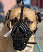 Ledermaulkorb Netzform für Bullmastiff_0