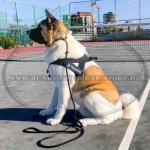 Dog Harness for Sport | Harness for Sport Dogs_5