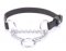 All Weather Nylon Martingale Dog Collar, Dog Chain HS Germany