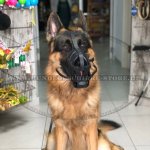 Leichter Hundemaulkorb Leder mit super Luftzirkulation_2