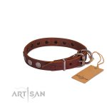 Hundehalsband aus Leder für Alltag im Baroque Design_7