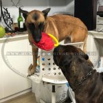 Bite Tugs from French Linen for puppies and young dogs_1