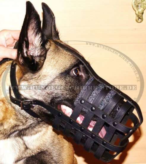 Hundemaulkorb Leder für Belgischen Malinois