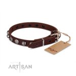 Leder Halsband 2 cm geziert mit runden Stahlnieten_2