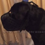 Stoßbeisskorb für Rottweiler, Diensthundebereich-Gebrauch