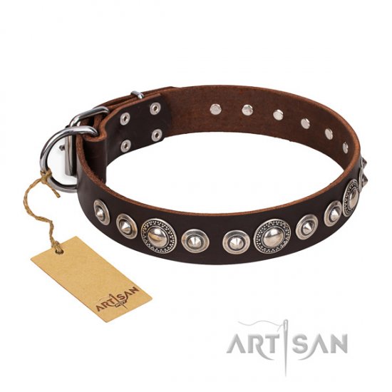 Leder Halsband für Hunde "Step and Sparkle" FDT Artisan in Brau