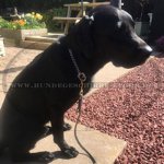 Strong Leather dog leash 20 mm, multifunctional_2