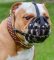 Englische Bulldogge Leichter Hundemaulkorb Leder
