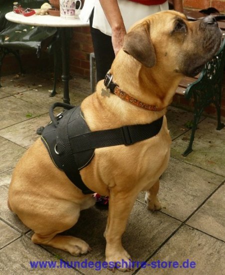 Boerboel Mastiff Nylon Multifunctional, Pulling Harness