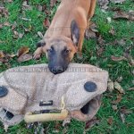 Malinois Beißkeil aus Jute für Welpen- und Junghundeerziehung_1