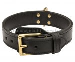 Lederhalsband mit Messing Schnalle für Bullmastiff Trainings und Erziehung_2
