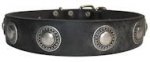 Hundehalsband aus Leder mit Silber-Concho