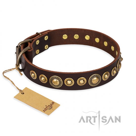 Leder Hundehalsband "Ancient Warrior" FDT Artisan in Braun