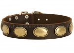 Labrador Lederhalsband im Retro Stil mit Platten Dekor_2