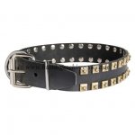 Nietenhalsband Exklusiv 40 cm breit für Dobermann_2