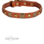 Luxus Lederhalsband mit massiven Platten aus Messing_5